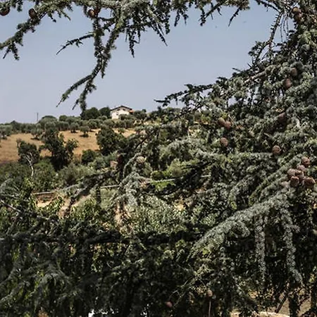 Farma Miracco Atanasio Franco 