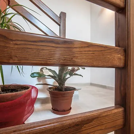 Κατάλυμα σε φάρμα Miracco Atanasio Franco 