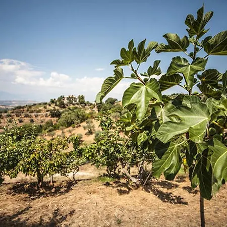Miracco Atanasio Franco 