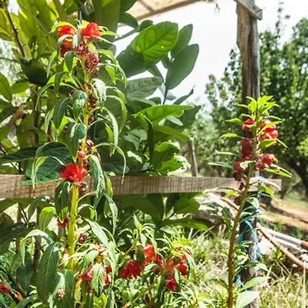 Farm stay Miracco Atanasio Franco 