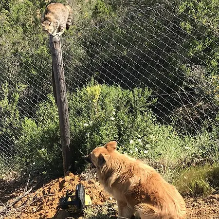 Miracco Atanasio Franco 