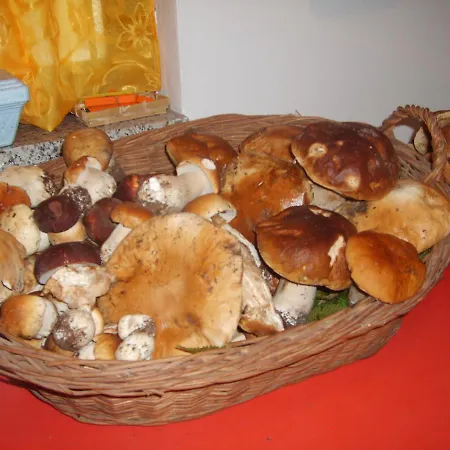 Miracco Atanasio Franco 