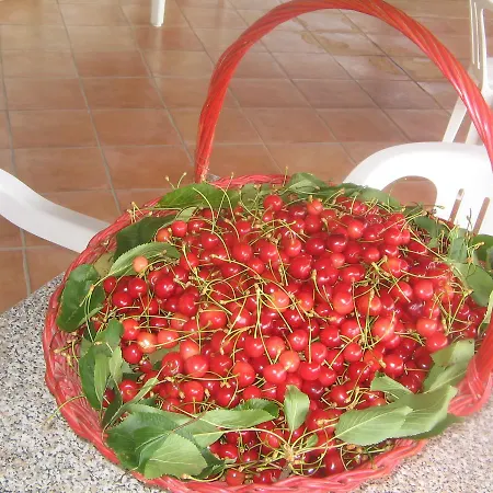 Miracco Atanasio Franco 