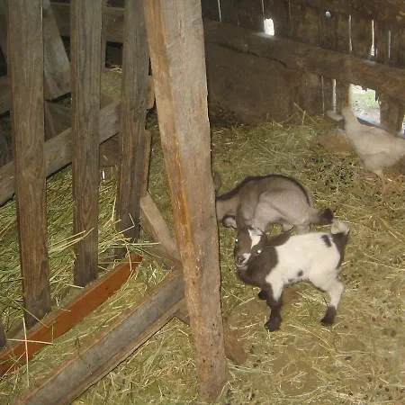 Miracco Atanasio Franco 