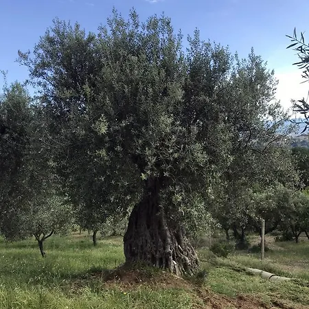Κατάλυμα σε φάρμα Miracco Atanasio Franco 
