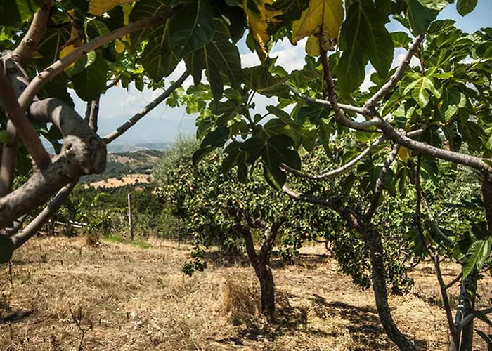 Alojamento de Turismo Rural Miracco Atanasio Franco 