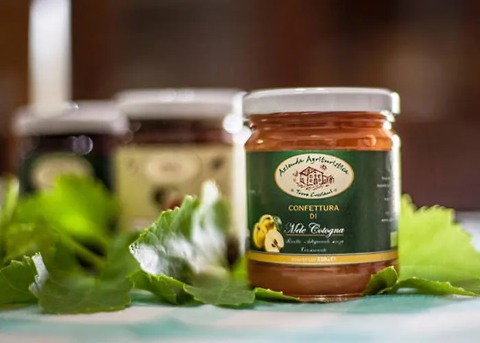 Alojamento de Turismo Rural Miracco Atanasio Franco 