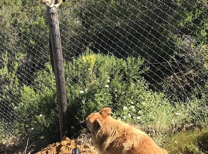 Miracco Atanasio Franco 