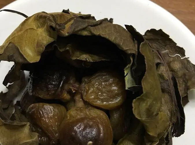 Miracco Atanasio Franco 