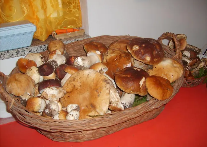 Miracco Atanasio Franco 