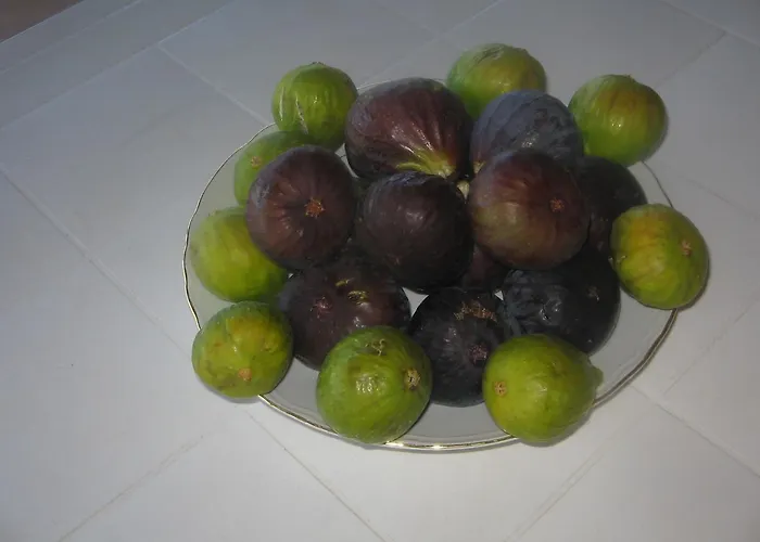 Alojamento de Turismo Rural Miracco Atanasio Franco 