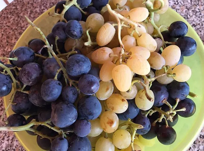 Miracco Atanasio Franco 