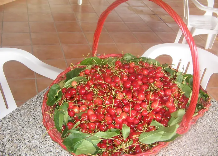 Miracco Atanasio Franco 