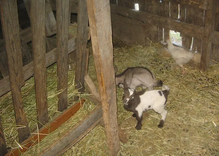 Miracco Atanasio Franco 