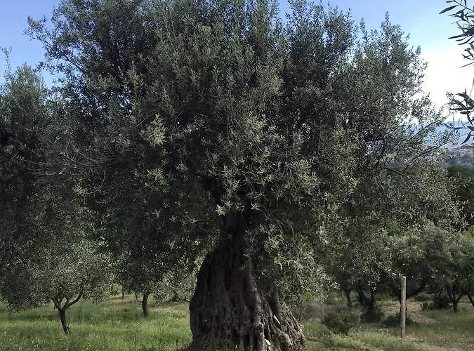 Alojamento de Turismo Rural Miracco Atanasio Franco 